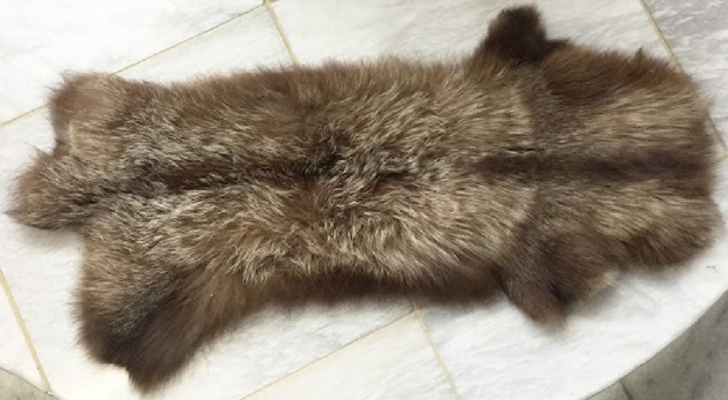 シルバーフォックス