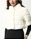 �W���P�b�g2